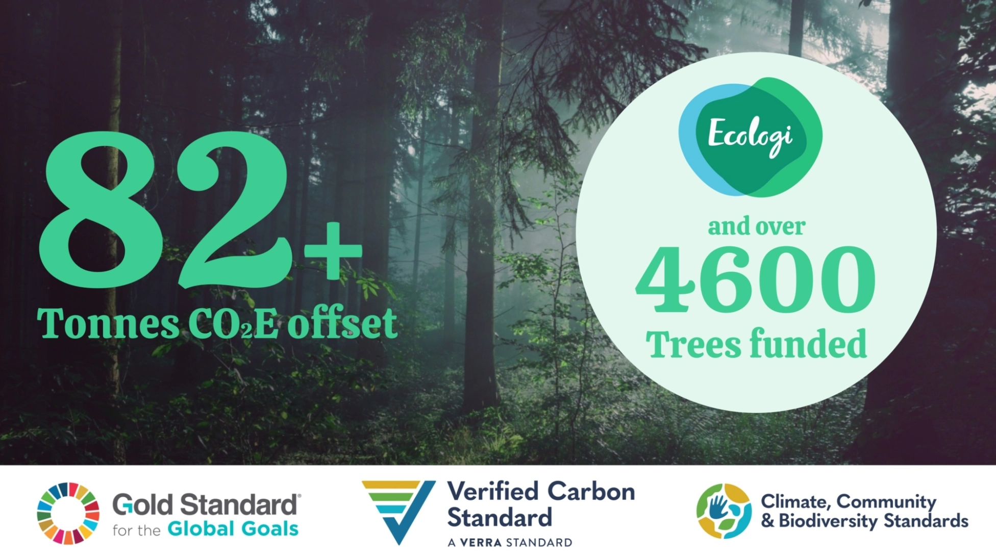 Dodeca Studio - Carbon offsets 2020/21