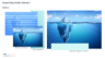 Hothouse Solutions - Concepts 01