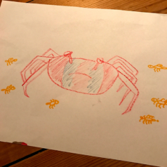 Crab Drawing