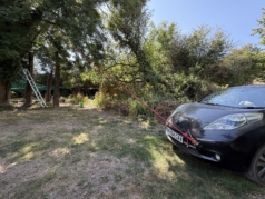 Car pulling up the tree trunks
